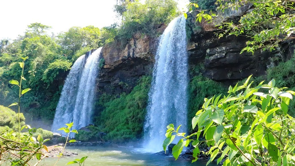 Vegetation and Iguazu Falls in the background in a beautiful experience.