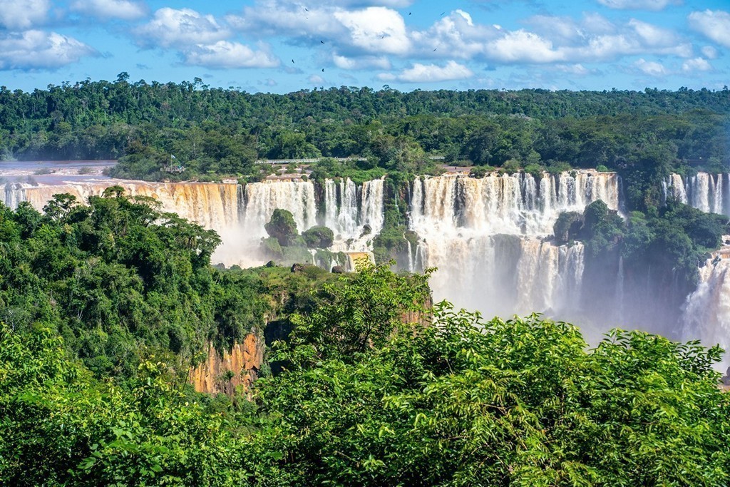 The scenic splendor encompassing the Iguazu Falls.
