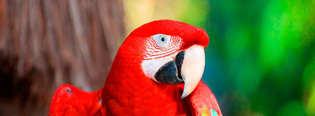 3 Embark on a 7-day adventure in Argentina, exploring Buenos Aires' tango culture and the majestic Iguazú Falls, with a unique gaucho ranch experience.